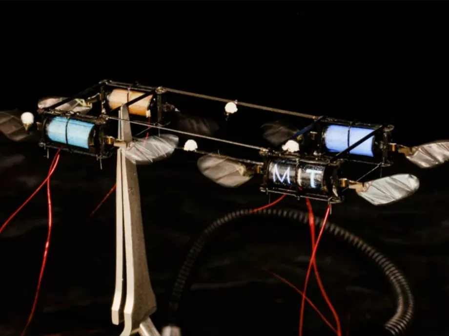 Robot-szentjánosbogarakká nemesítette műlegyeit az MIT