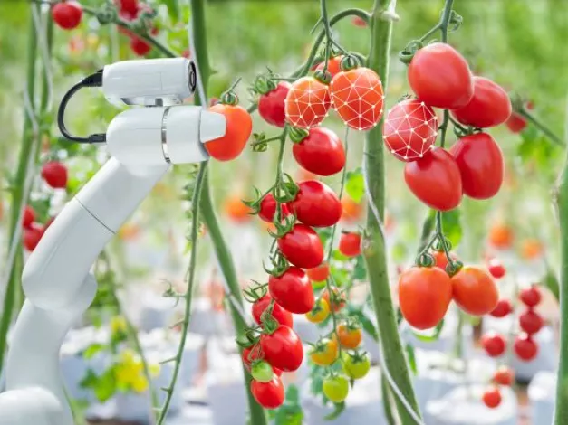 Smart farming: így lesz intelligens a mezőgazdaság