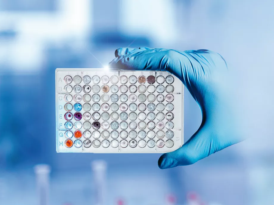 Meghajtási megoldások a laboratóriumi automatizáláshoz