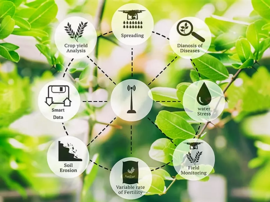Inkubátor program agrár startupoknak