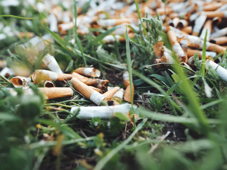 Olcsóbb biodízel cigarettacsikkből