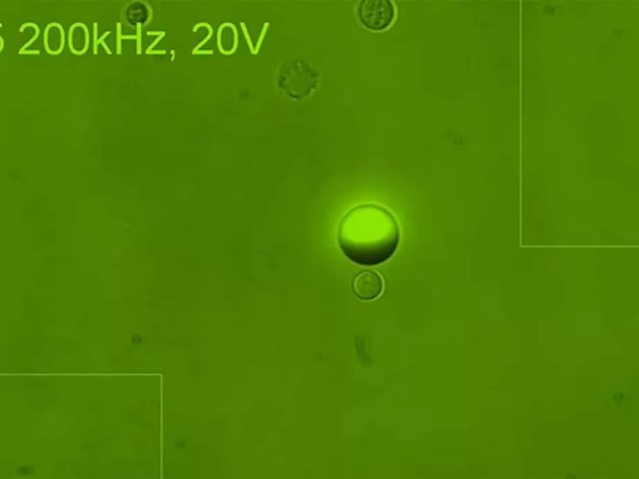 Sejtméretű nanorobot a véráramban